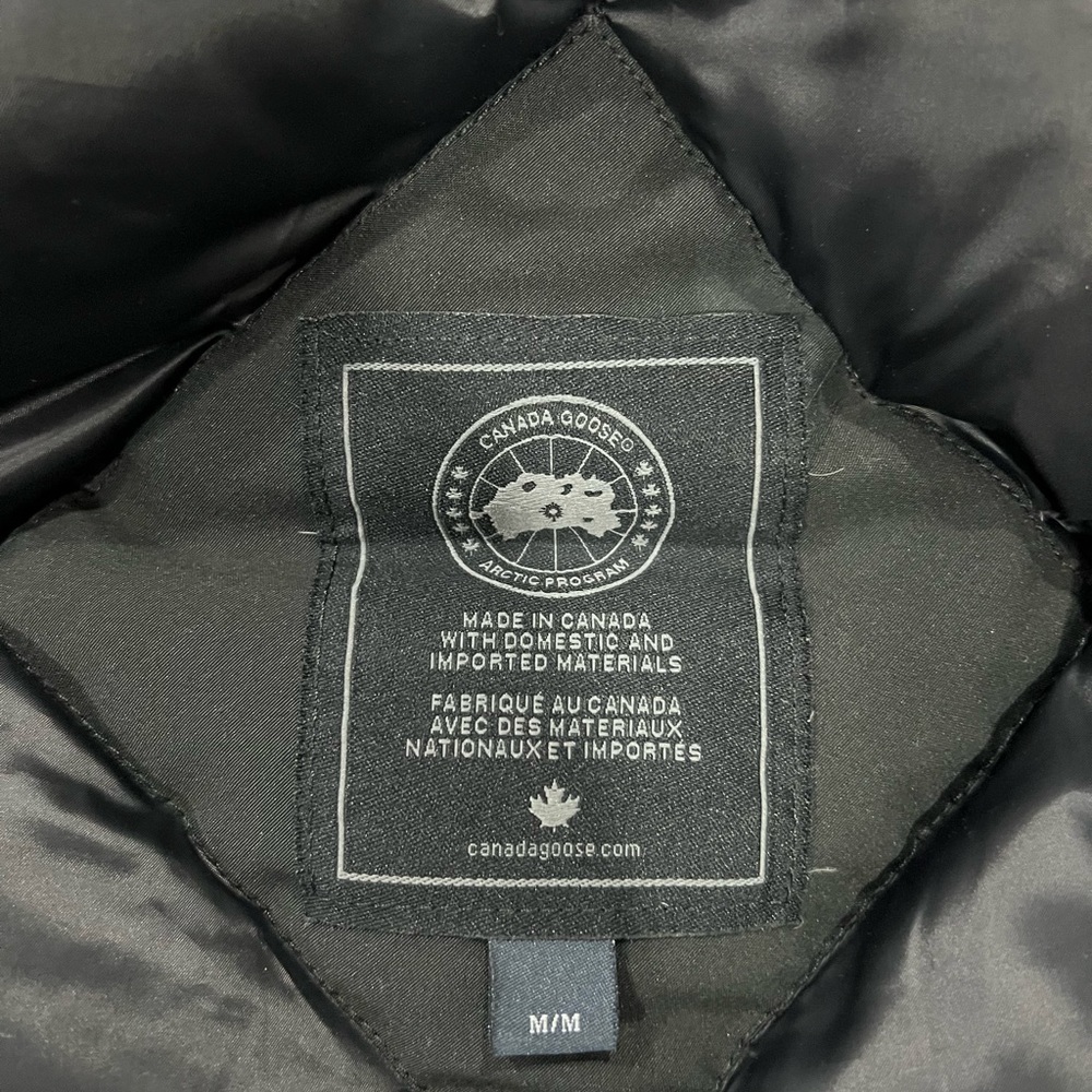 Canada goose